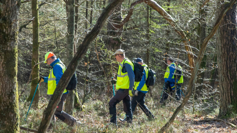 Het mysterie van de Verdwenen Gele